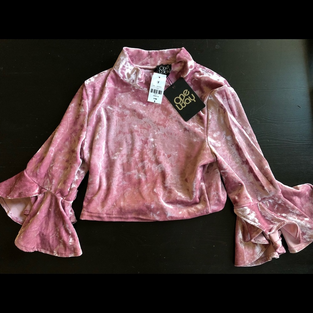 Pink/blush velvet top from LF